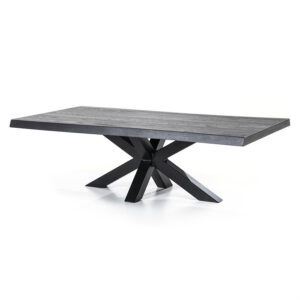 Boomstam salontafel met spinpoot zwart