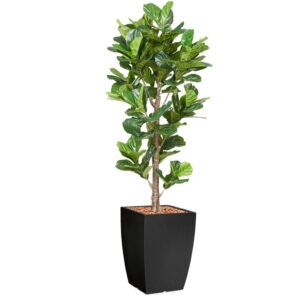 Kunstplant Ficus Lyrata