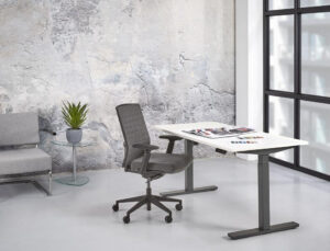 Bureau Flex Pro electrisch zit-sta verstelbaar (65 - 130 cm)