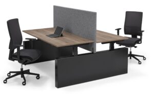 Flex 3 EL Bench Wang