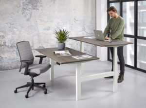 Duo bureau flex Standaard zit-sta electrisch verstelbaar